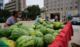 五一拍到网红吃瓜,揭秘热门事件幕后真相